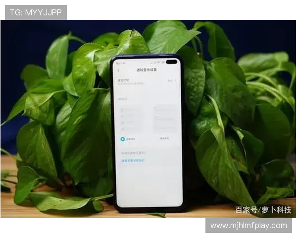 ag百家官网用户评价汇总,真实体验分享帮助新手快速上手 ag百家官网用户评价汇总,真实体验分享帮助新手快速上手